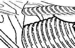 Расположение гайки (1) крепления трубки линии давления