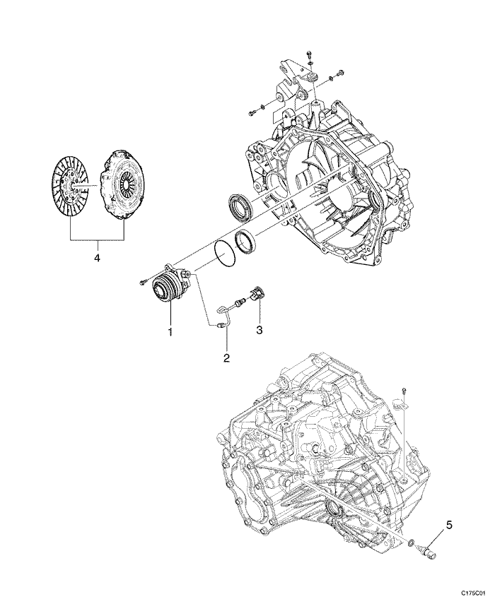 C175C01