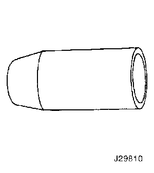 J29810
