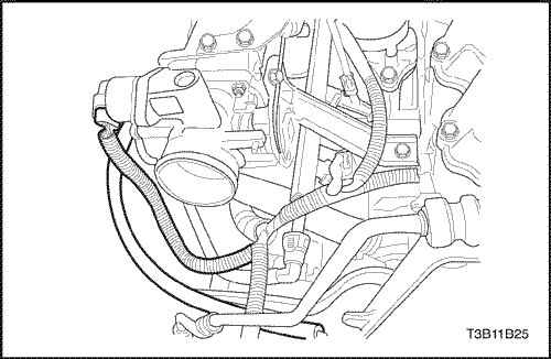 T3B11B25