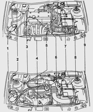Моторные отсеки с двигателями Zetec-SE 1,25 и 1,4 л (вверху) и Endura-E 1,3 л (внизу)